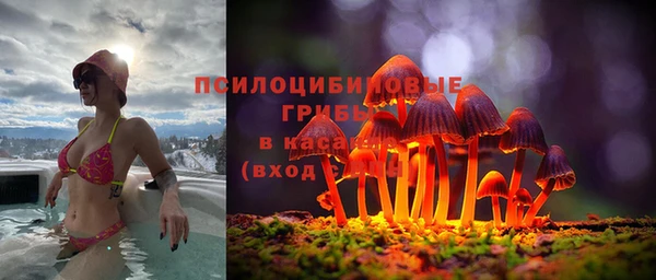 стафф Абинск