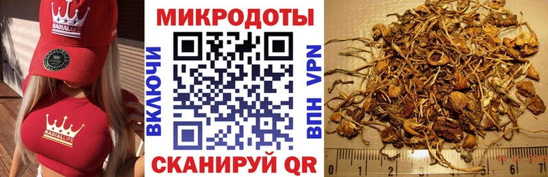 Галлюциногенные грибы Psilocybine cubensis  наркотики  Янаул 