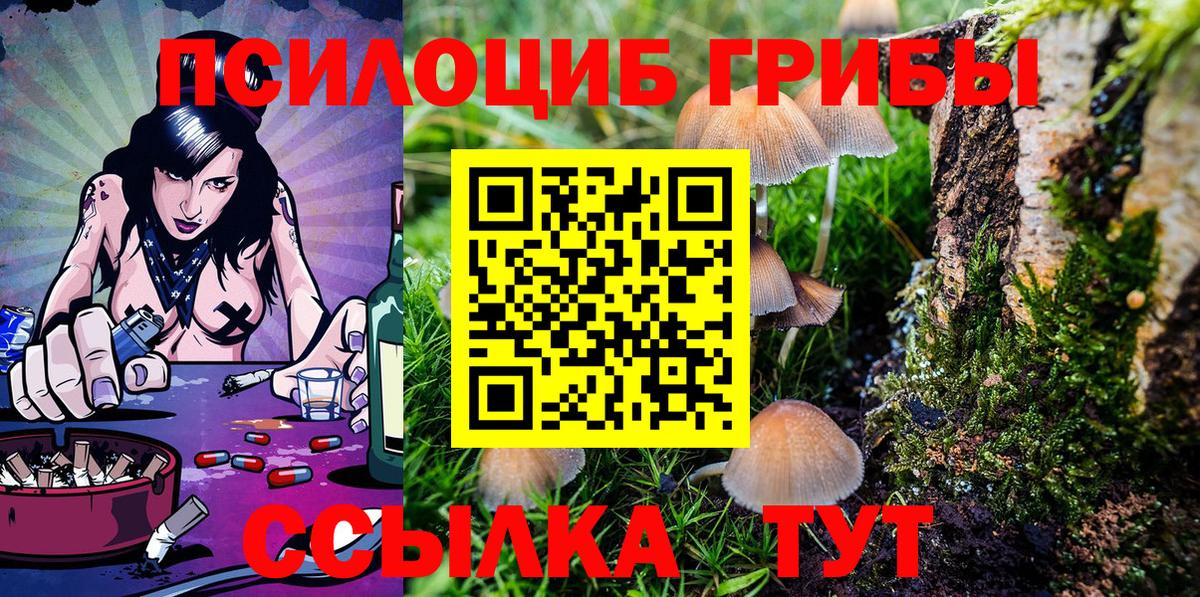 хочу наркоту  Псилоцибиновые грибы GOLDEN TEACHER  Вход с VPN  Янаул 