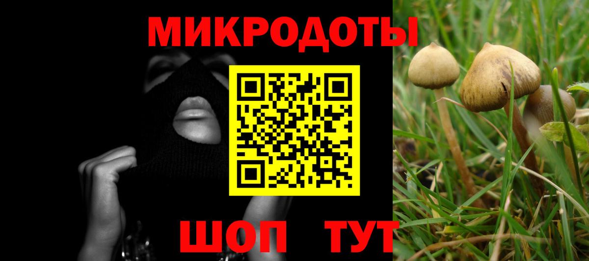 Галлюциногенные грибы Psilocybe Янаул
